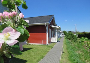 Vacation home 3a Nordland 60sqm for max. 4 persons - Premium vacation home Nordland in the