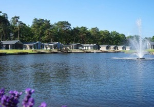 Vacation home EuroParcs Resort Zilverstrand in Mol - 6 persons, 3 bedrooms