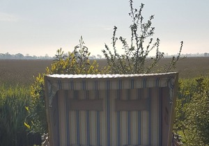 Vacation home for 5 guests with 68m² in Butjadingen (128789)