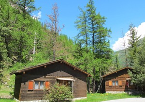 Vacation home for 6 guests with 45m² in Saas-Balen (161372)