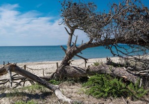 Vacation home Villaggio Mare Verde in Follonica - 6 persons, 1 bedrooms
