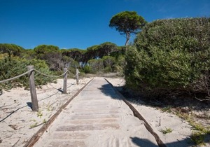 Vacation home Villaggio Mare Verde in Follonica - 6 persons, 1 bedrooms
