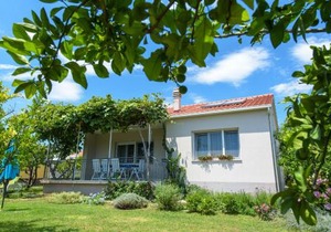 Vacation House Bile