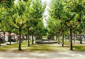 Vakantiepark Isábena 3