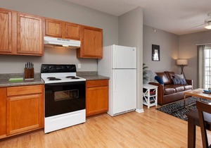 Vector Travel Guest Suite | West Ames | near ISU