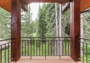 Velvet Falls Custom Home 58 at Tamarack Resort home