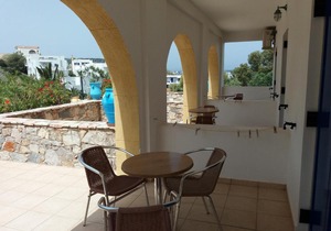 Venardos Studios