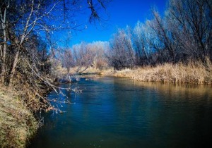 Verde Valley Tiny House 17