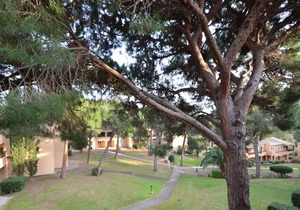 Very nice clean apartment in Saint-Raphaël with a view of a private park