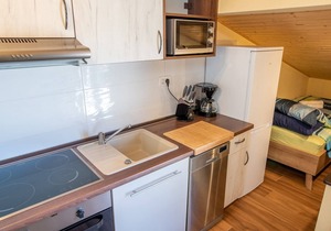 Via Flavia/Studio Apartment A1 in Kaštelir