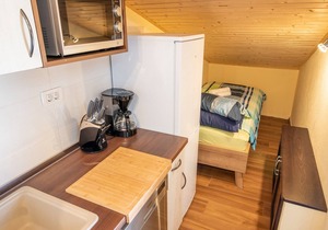 Via Flavia/Studio Apartment A1 in Kaštelir