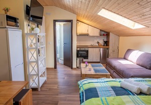 Via Flavia/Studio Apartment A3 in Kaštelir