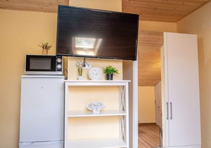Via Flavia/Studio Apartment A3 in Kaštelir