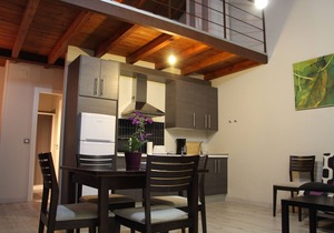 Victor Apartments and Houses. (Apartment 1)