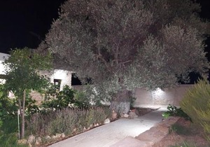 Villa Elia