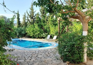 Villa Elia is situated in a quiet area, surrounded by olive trees with a private