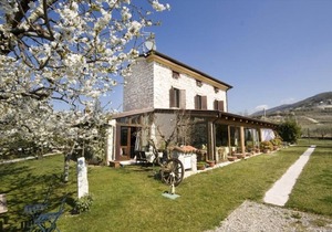 Villa Gesi - Apartment 4
