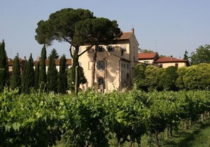 Villa Guadagni Cappelli