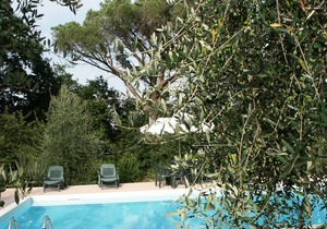 Villa in Montelopio with 5 bedrooms sleeps 9