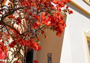 Villa la Giralda