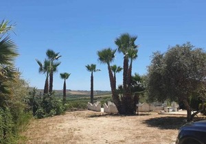 Villa Marisa - Appartamento Blu