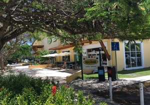 Villa Olivo 9, Punta Cana Village