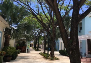 Villa Olivo 9, Punta Cana Village