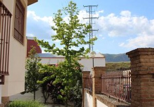 Villa Rural Campillo de Arenas
