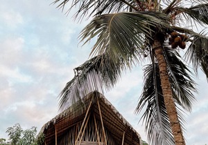 Villa Sabiá - Eco Bungalows 6