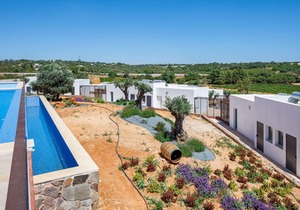 Villa Suite 01 (Premium) - The Vines
