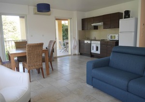 VILLA VERDI D AIR CONDITIONED APARTMENT WITH TERRACE AND PRIVATE GARDEN POOL