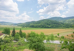 Villa with beautiful view on valley of the longest Istrian river Mirna