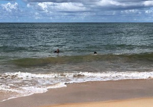Village Beira Mar em Itacimirim