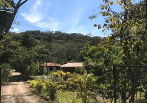 Villas jungle 5