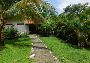 Villas jungle 5