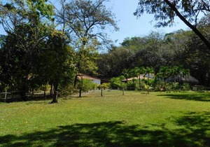 Villas jungle 5