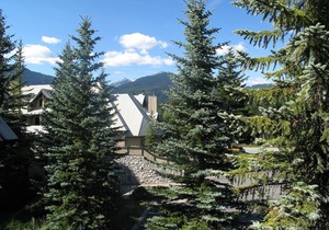 Villas Snowberry by Whistler Retreats