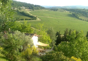 Vineyard cottage, 30 minutes to Florence