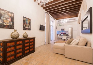 VINTAGE PALMA PALACE (CLASSIC 1) TI/200