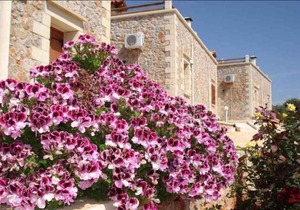 Viola Suites,Villas with shared pool