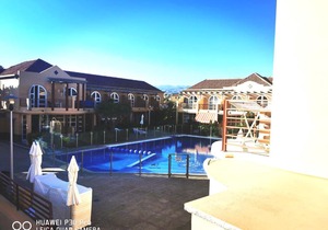 VIOLET Palmeral Oasis