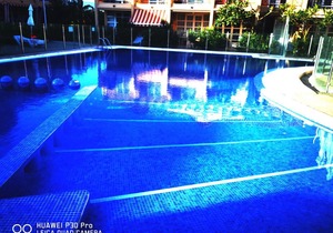 VIOLET Palmeral Oasis
