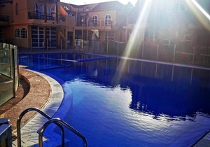 VIOLET Palmeral Oasis