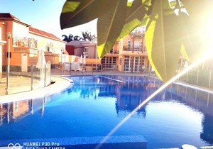 VIOLET Palmeral Oasis