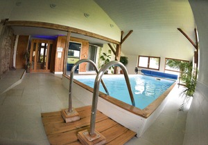 Vosges farmhouse, renovated with taste 5 *, great comfort / Pool / Sauna / Ha