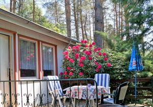 Vrbo Property