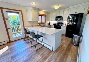 W29 Renovated Bretton Woods condo with ski slope views, A/C, fireplace and fast wifi, Dog Friendly!