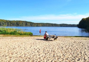 Waldsiedlung Waldhaus App 4.2