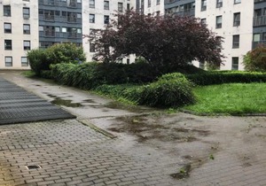 Wallace Budget rooms