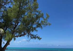 Welcoming 2 bed 2 1/2 bath with stunning ocean views - Retreat # 32